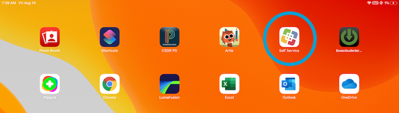 Computer screen showing Self Service app icon, along with other app icons.