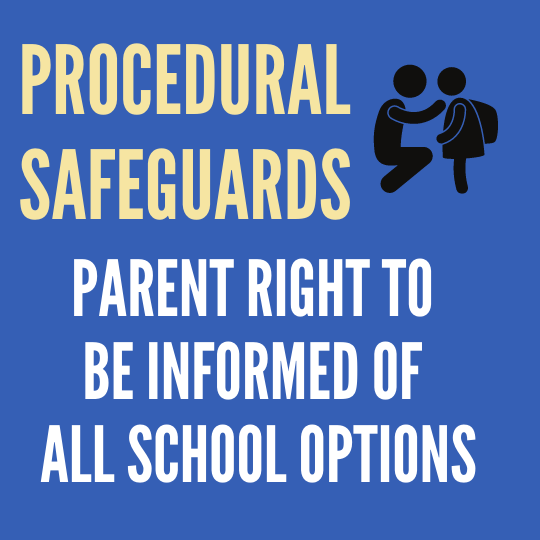 Individualized Education Program Procedural Safeguards