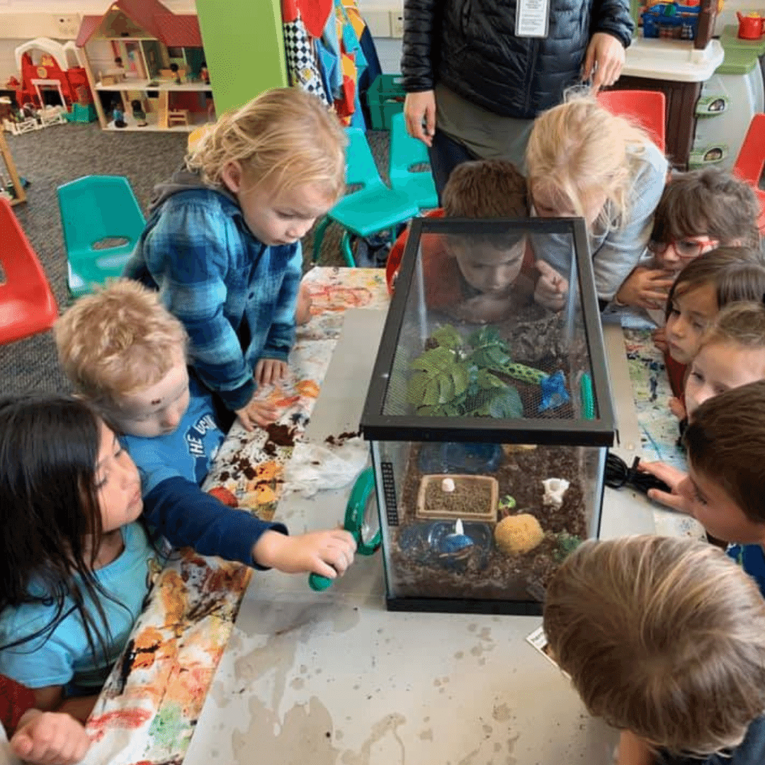 ECE students around a fish tank